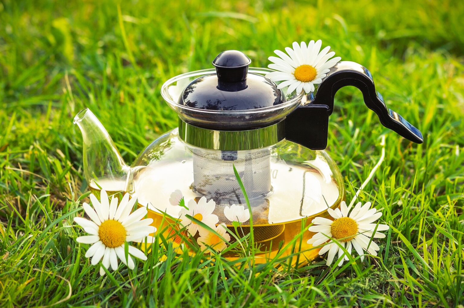 The Holistic Benefits of Calming Blend tea